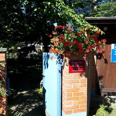Chez Jean Et Daisy Bed & Breakfast Riehen Bagian luar foto