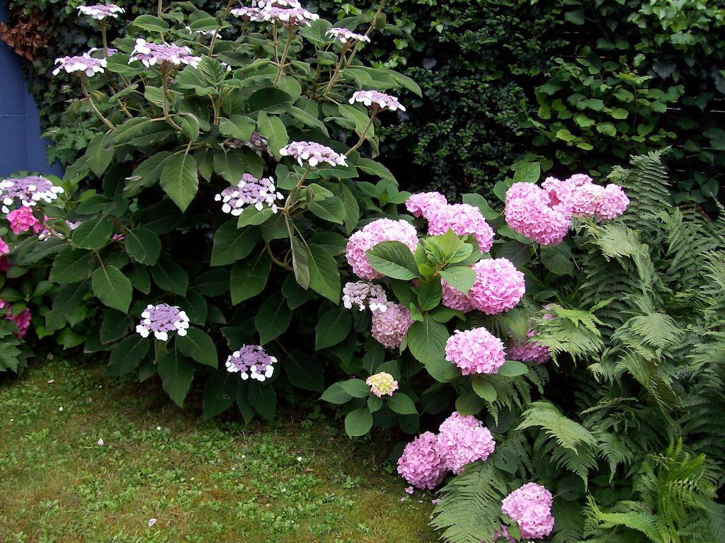 Chez Jean Et Daisy Bed & Breakfast Riehen Bagian luar foto